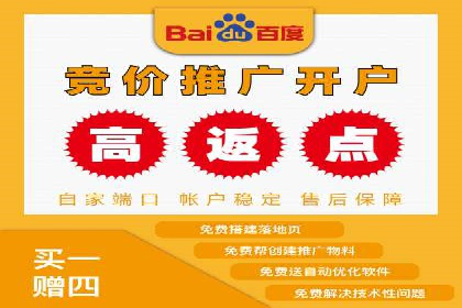 大数据分析在竞价广告中的应用